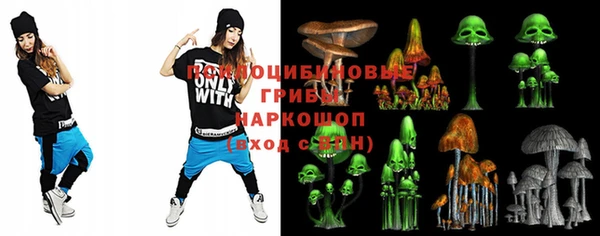 ПСИЛОЦИБИНОВЫЕ ГРИБЫ Абдулино