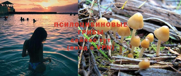 винт Покровск