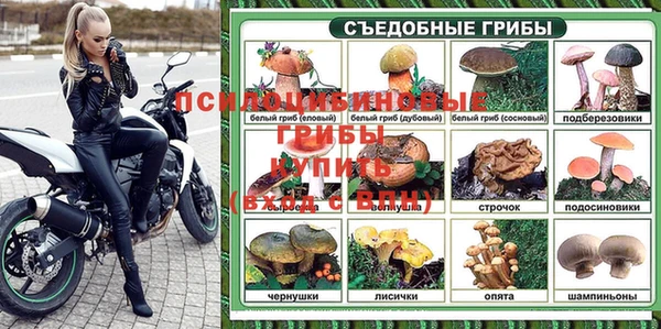 МДПВ Абинск